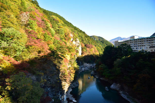 istock Red leaves, Kinugawa, Tochigi, Japan 1270904083