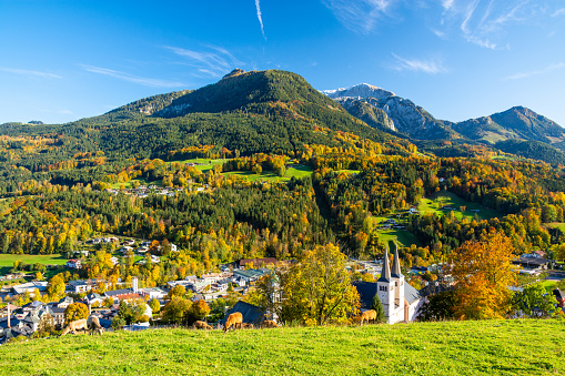 Amazing autumn landscape in sunny day in bavarian alps