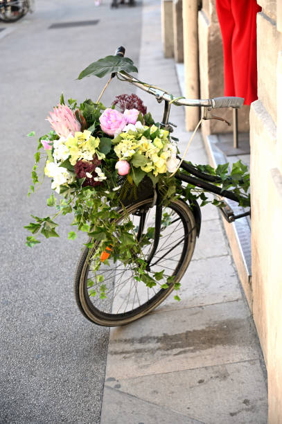 istock Old bicycle with colorful flowers in a basket 1270908148