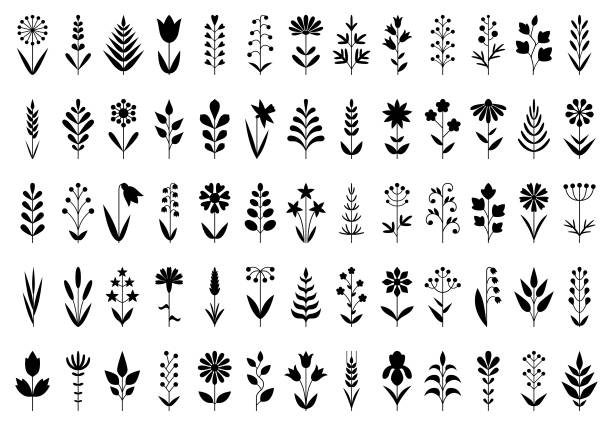Plants icon set Set of decorative plants. Geometric icon set. Vector design elements on white background beauty in nature illustrations stock illustrations