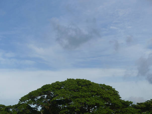 istock Beautiful sky view in the daylight. sunny day view. 1270913433