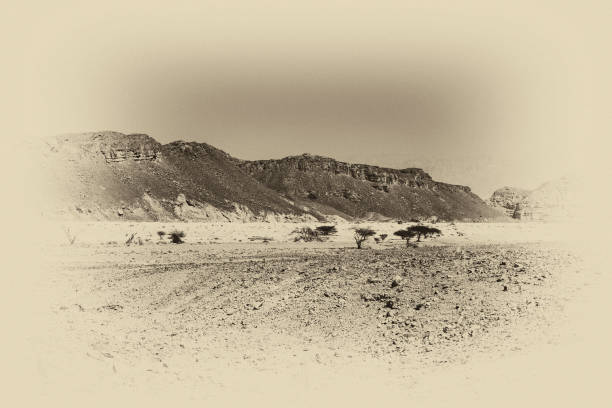 Loneliness and emptiness of the rocky hills of the Negev Desert in Israel. Breathtaking landscape and nature of the Middle East. Black and white photo