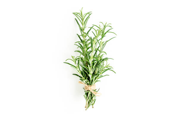 istock Green bundle of rosemary isolated on a white background. Herbs. Flat lay. Top view 1270918931
