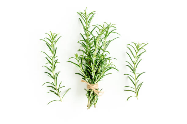 istock Green bundle of rosemary isolated on a white background. Herbs. Flat lay. Top view 1270919888