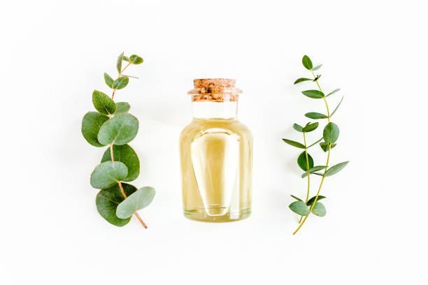 istock Essential oil and green branches, leaves eucalyptus on white background. Medicinal herbs. Flat lay. Top view 1270920102