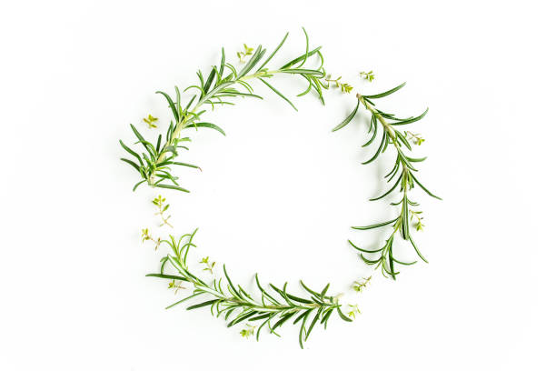 istock Round wreath frame made herbs, green branches, leaves rosemary. Flat lay. Top view 1270920231