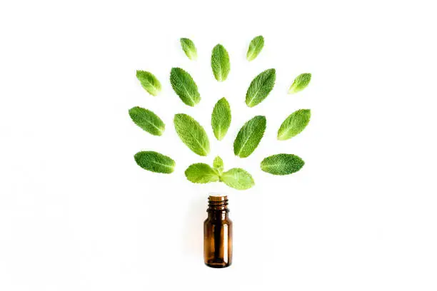 Essential oil and greenmint leaves on white background. Medicinal herbs. Flat lay. Top view. High quality photo