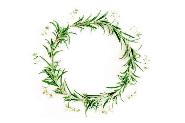 istock Round wreath frame made herbs, green branches, leaves rosemary. Flat lay. Top view 1270920605