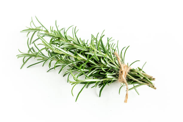 Green bundle of rosemary isolated on a white background. Herbs. Flat lay. Top view
