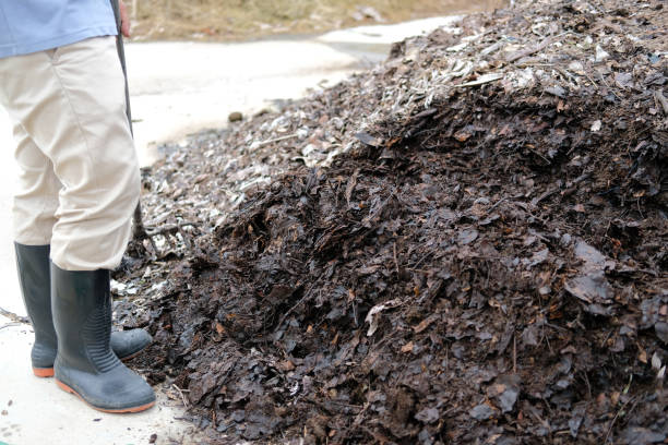 istock organic compost heap. fertilizer production for soil cultivation 1270921448