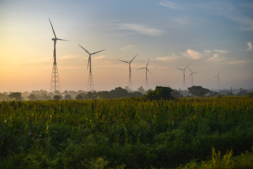 The Installations of Wind Mills in the Rural villages of Vikarabad added more beauty to the Valley like area.