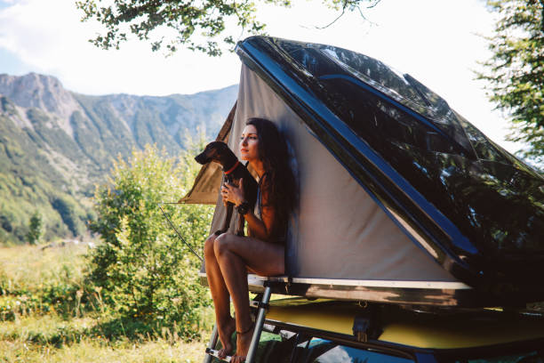 istock Camping with a pet dog on a rooftop tent 1270929434