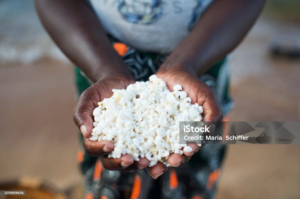 White Maize / Corn in Africa Washing white maize (corn) the staple in Malawi and many parts of Africa. Malawi Stock Photo