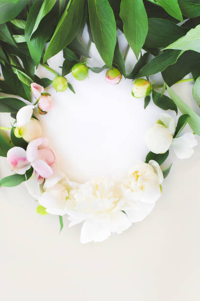 istock Peony flowers. The layout from an unopened Bud to a flower. 1270929490