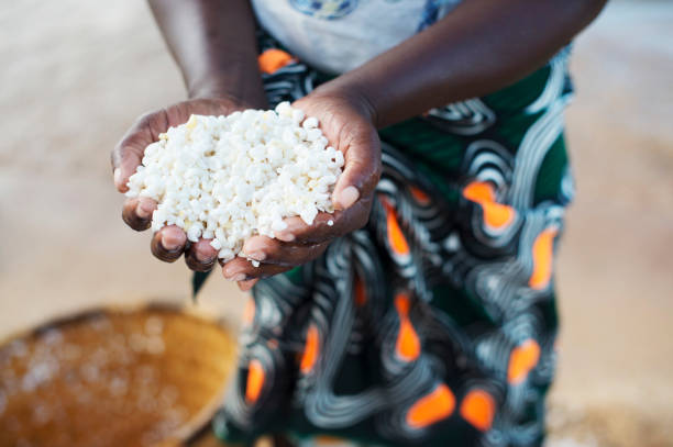 White Maize / Corn in Africa Washing white maize (corn) the staple in Malawi and many parts of Africa. malawi stock pictures, royalty-free photos & images
