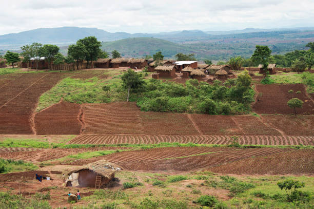 paesaggio africano - republic of malawi foto e immagini stock