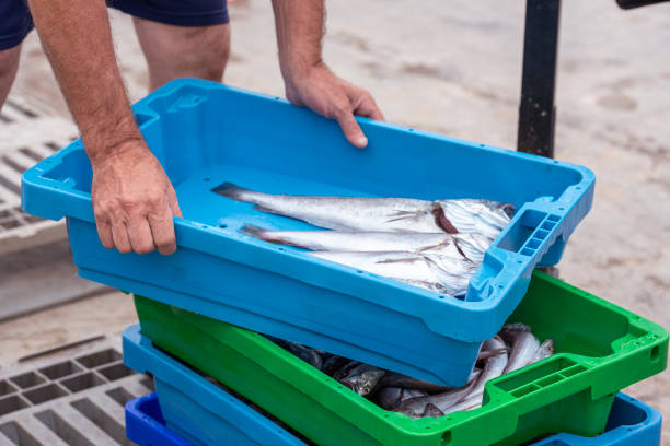 istock Fish harvesting for sales in fish market 1270929571