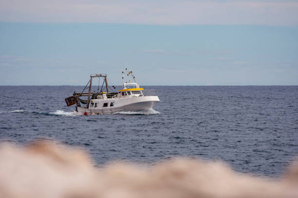 istock Trawl boat returning to port 1270929582