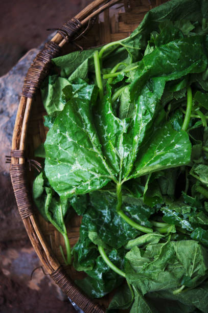 istock Greens in Africa 1270930597