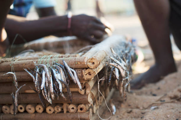 istock Fishing, Africa 1270930661