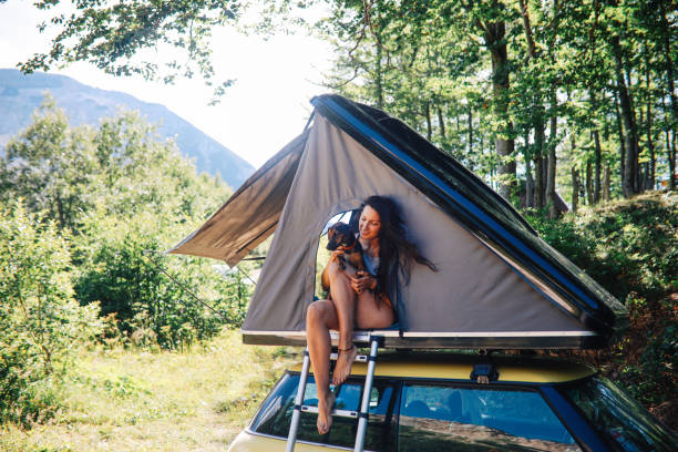 istock Camping with a pet dog on a rooftop tent 1270930671