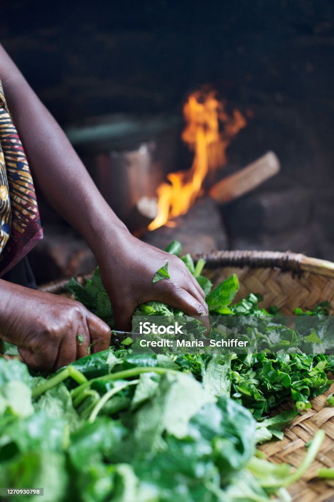 Cooking Greens in Africa Cutting Pumpkin leaves in Malawi. Africa Stock Photo