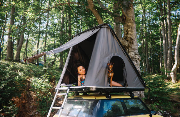 istock Camping with a pet dog on a rooftop tent 1270930814