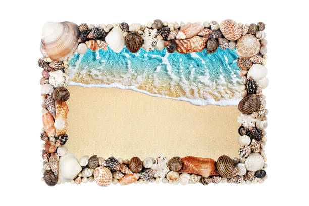 istock Sea shells frame white background isolated closeup seashells border, blue wave texture, sand beach, turquoise ocean water, summer holidays postcard, tropical island vacation, travel banner, copy space 1270933004