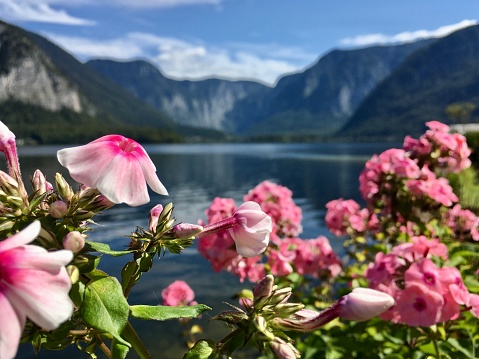 Hallstatt surrounded by mountains and a lake on a sunny summer day