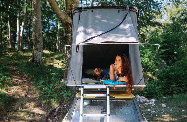 istock Sleeping in a car rooftop tent with a pet dog 1270934956