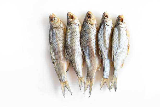 istock isolated close up top view dried salted caspian roach fish on a white background 1270935284