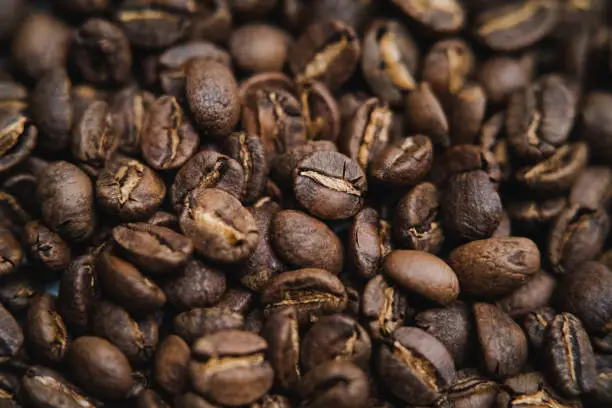 landscape macro close up shot of dark roasted coffee beans