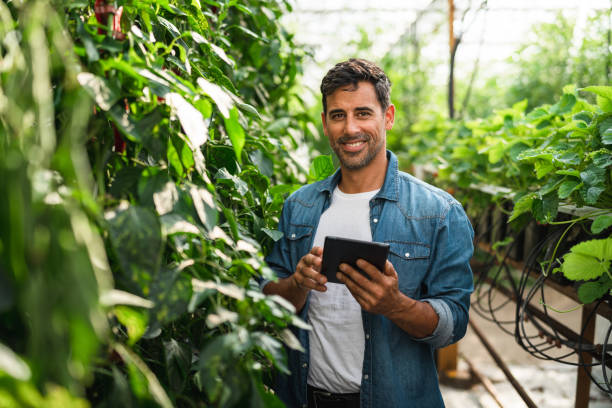 orgulloso emprendedor de invernadero con una tableta digital - greenhouse pepper vegetable garden agriculture fotografías e imágenes de stock