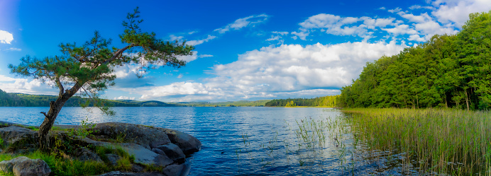 Lake from a viewpoint