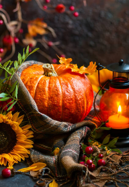 istock Autumn still life with pumpkin 1270937589