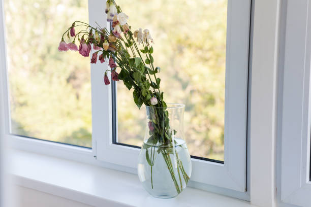 istock A bouquet of withered dried flowers on a white background 1270939800