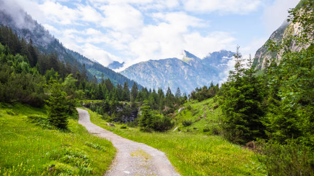 bavarian alps descent from the mädelejoch to holzgau - logging road imagens e fotografias de stock