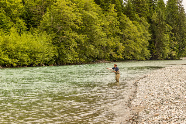 A fly fisherman spey casting, while wading in the fast flowing Kitimat River