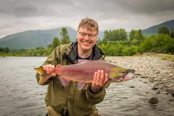 A happy fisherman holding up a red sockeye salmon, caught on the kitimat river, British Columbia, Canada