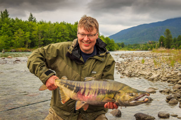 счастливый спортивный рыбак, держащий большой трофей chum лосося - pacific salmon стоковые фото и изображения