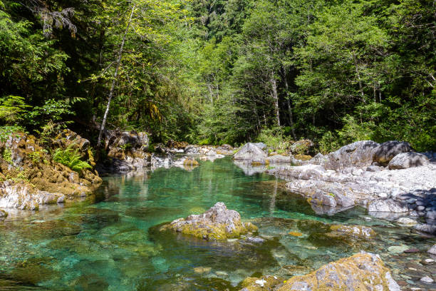 istock Crystal clear lake on the Opal Creek Wilderness Trail 1270949002