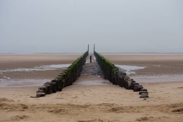 istock Beach in Cadzand, The Netherlands 1270951213