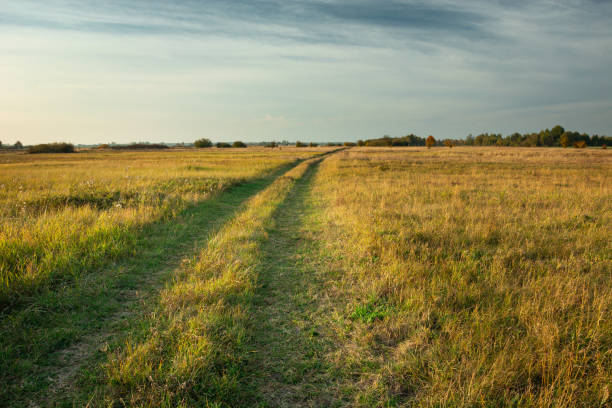 istock A dirt road through fallows and evening clouds in the sky 1270954755