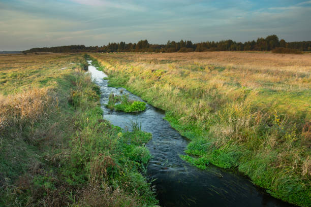 istock Small Uherka River flowing through eastern Poland 1270954760