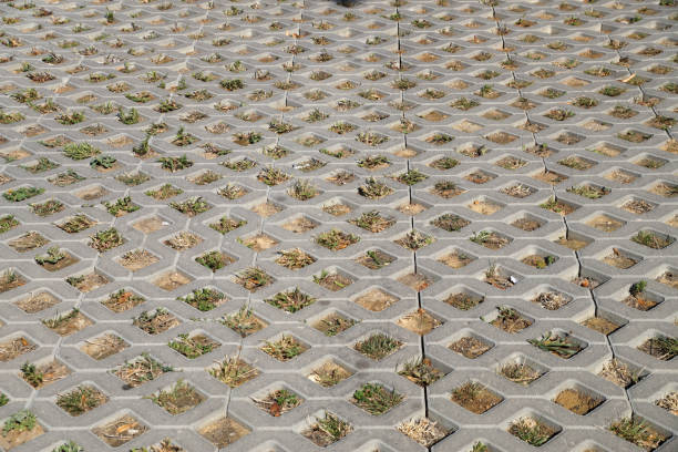 istock concrete paving slab with grass holes close up 1270958427