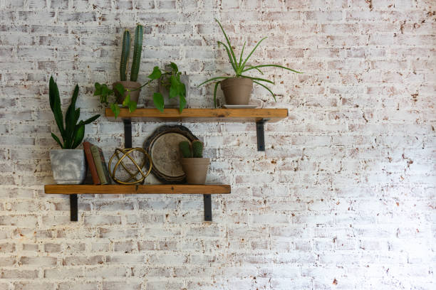 Modern stylish white brick wall with shelves and plants on them. Modern stylish white brick wall with shelves and plants on them. brick photos stock pictures, royalty-free photos & images