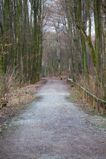 istock Pathway in Brussels Tervuren park 1270959359