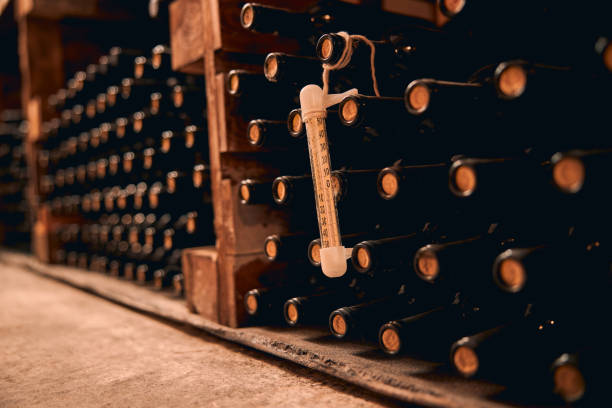 istock Wine bottles with thermometer stored in wine cellar 1270961667