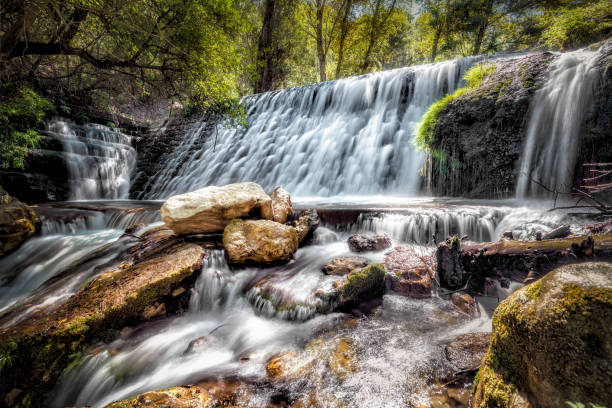 Beautiful waterfall in the rainforest 
