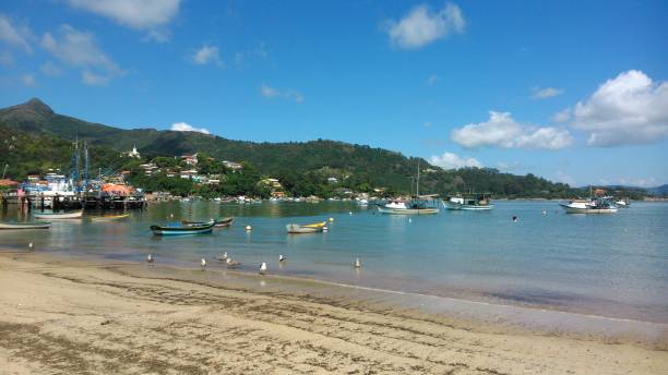 istock governor celso ramos beach santa catarina 1270962838